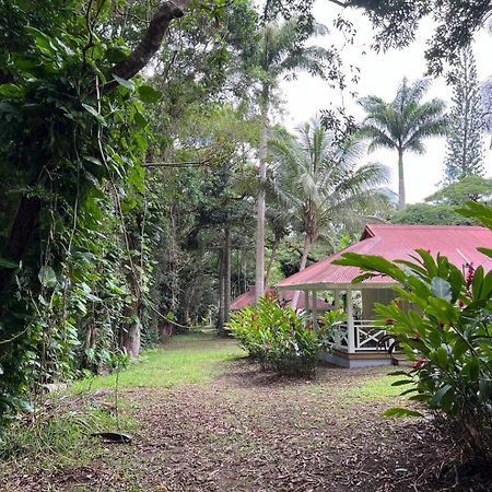 Evasion Bungalow D'Antan Spa Sarramea Luaran gambar