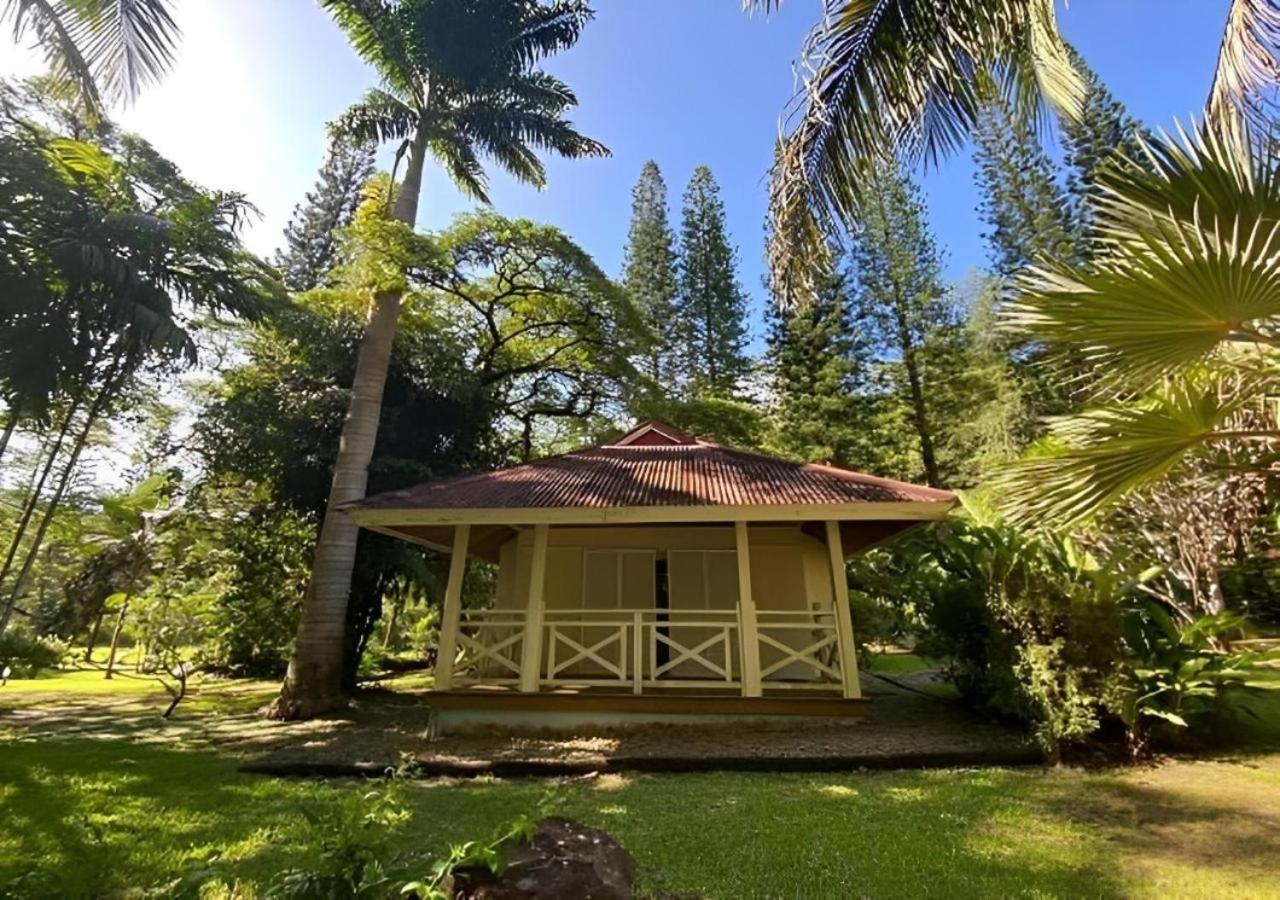 Evasion Bungalow D'Antan Spa Sarramea Luaran gambar