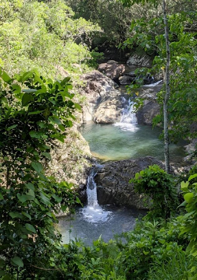 Evasion Bungalow D'Antan Spa Sarramea Luaran gambar