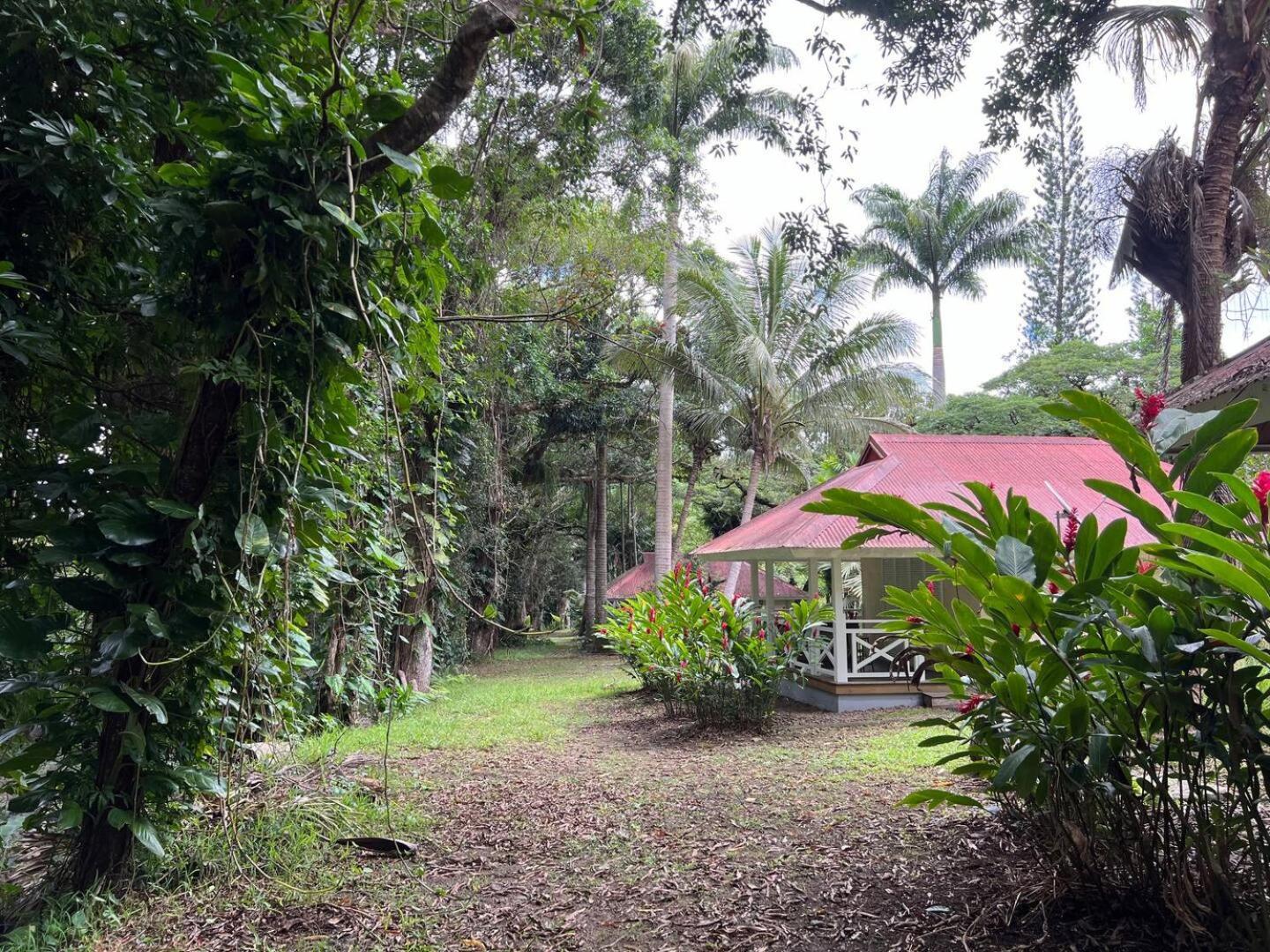 Evasion Bungalow D'Antan Spa Sarramea Luaran gambar